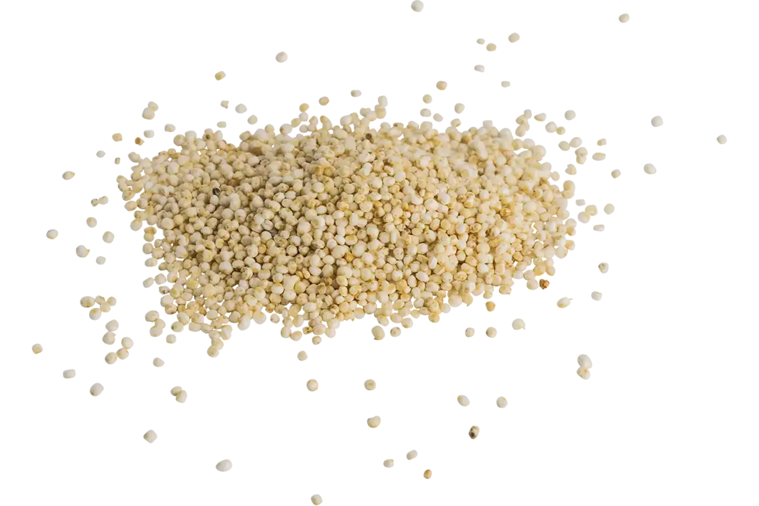 Quinoa gepoft 200gr stuk 1